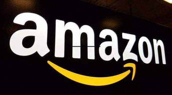 月入十萬的亞馬遜無貨源店群不限制商品類目上貨erp定制貼牌,模式一比一復制